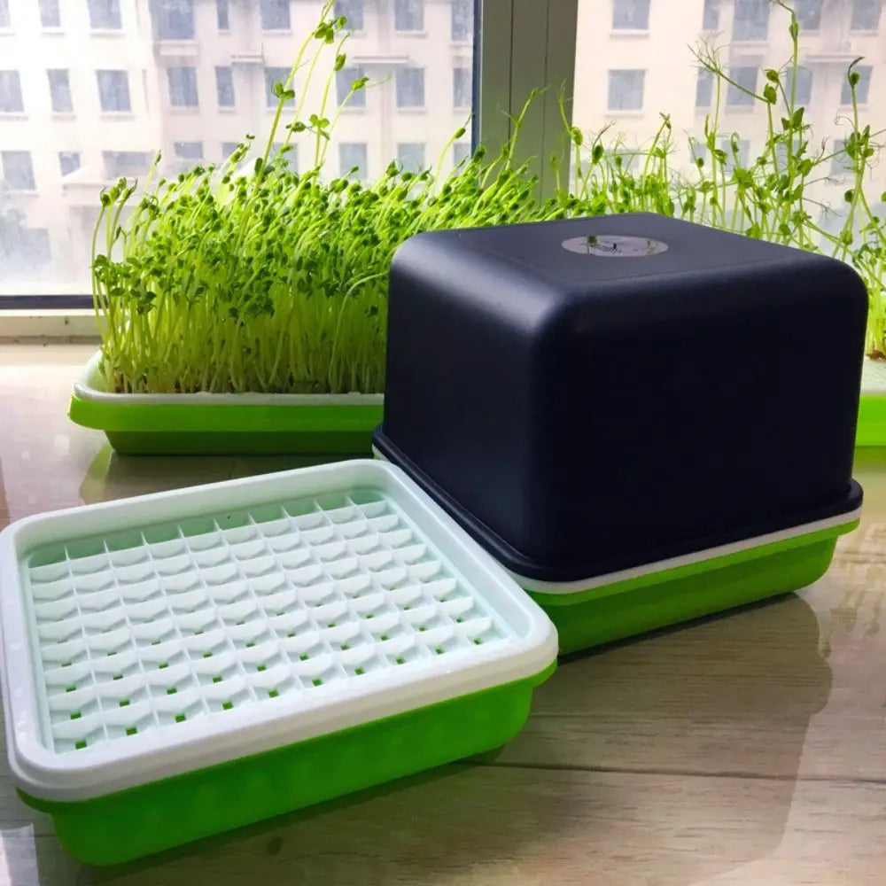 Clean Bean Sprout Plant Soilless Water Cultivation Peanut Garden Supplies Seedling Tray Sprout Planting Box Sprout Planting Pot