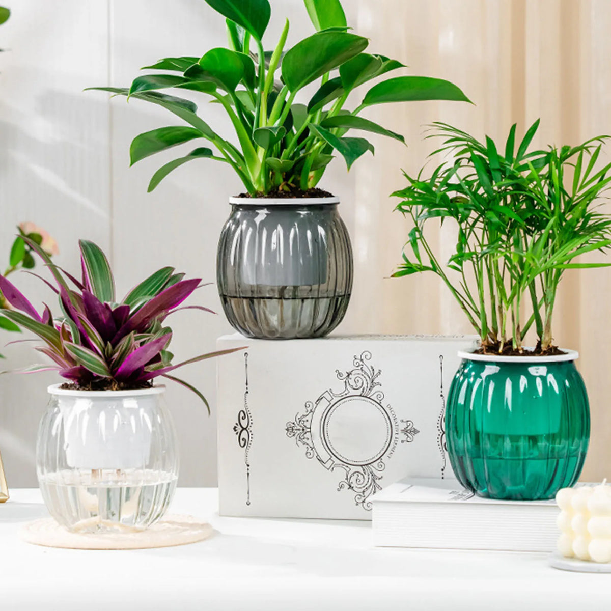 Clear Self Watering Planters Pots Modern Transparent Plants Care Pots for Garden Enthusiast Lover Gift