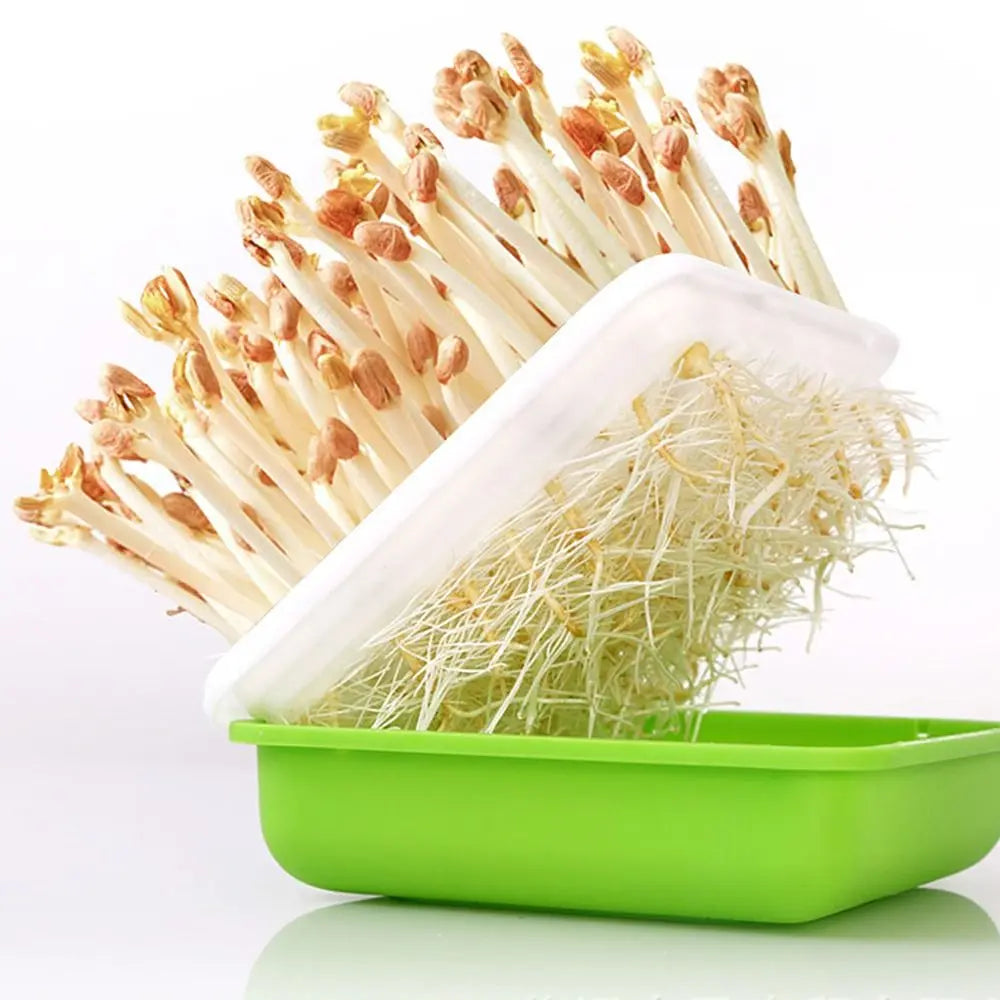 Plant Hydroponic Bean Sprout Soilless Water Cultivation Garden Supplies Sprout Planting Pot Seedling Tray Sprout Planting Box