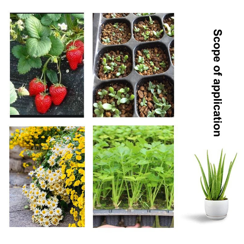 Hot！NEW 10Pcs Seedling Trays Plastic Gardening Germination Trays Black Seedling Container Garden Supplies For Vegetable Flower