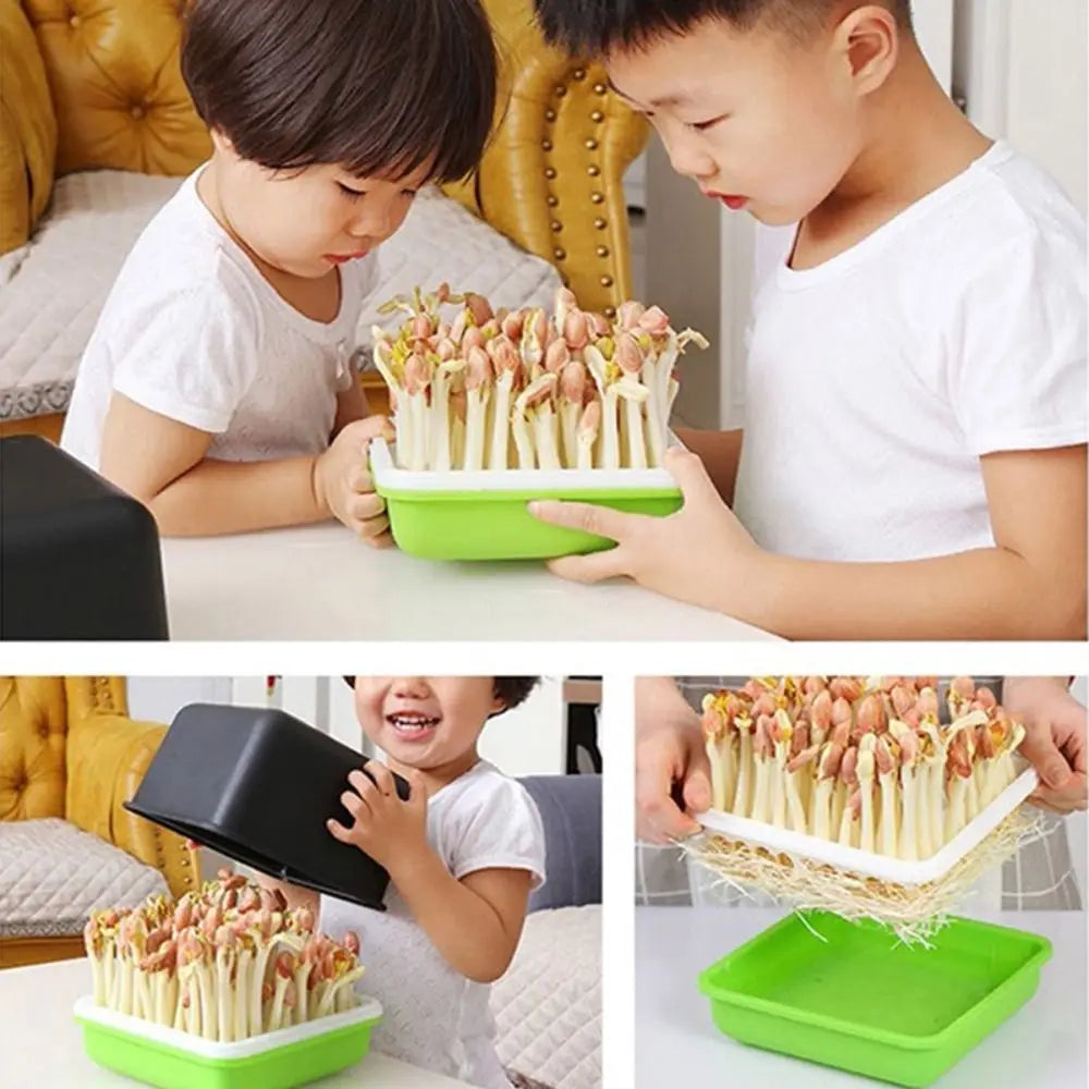 Plant Hydroponic Bean Sprout Soilless Water Cultivation Garden Supplies Sprout Planting Pot Seedling Tray Sprout Planting Box