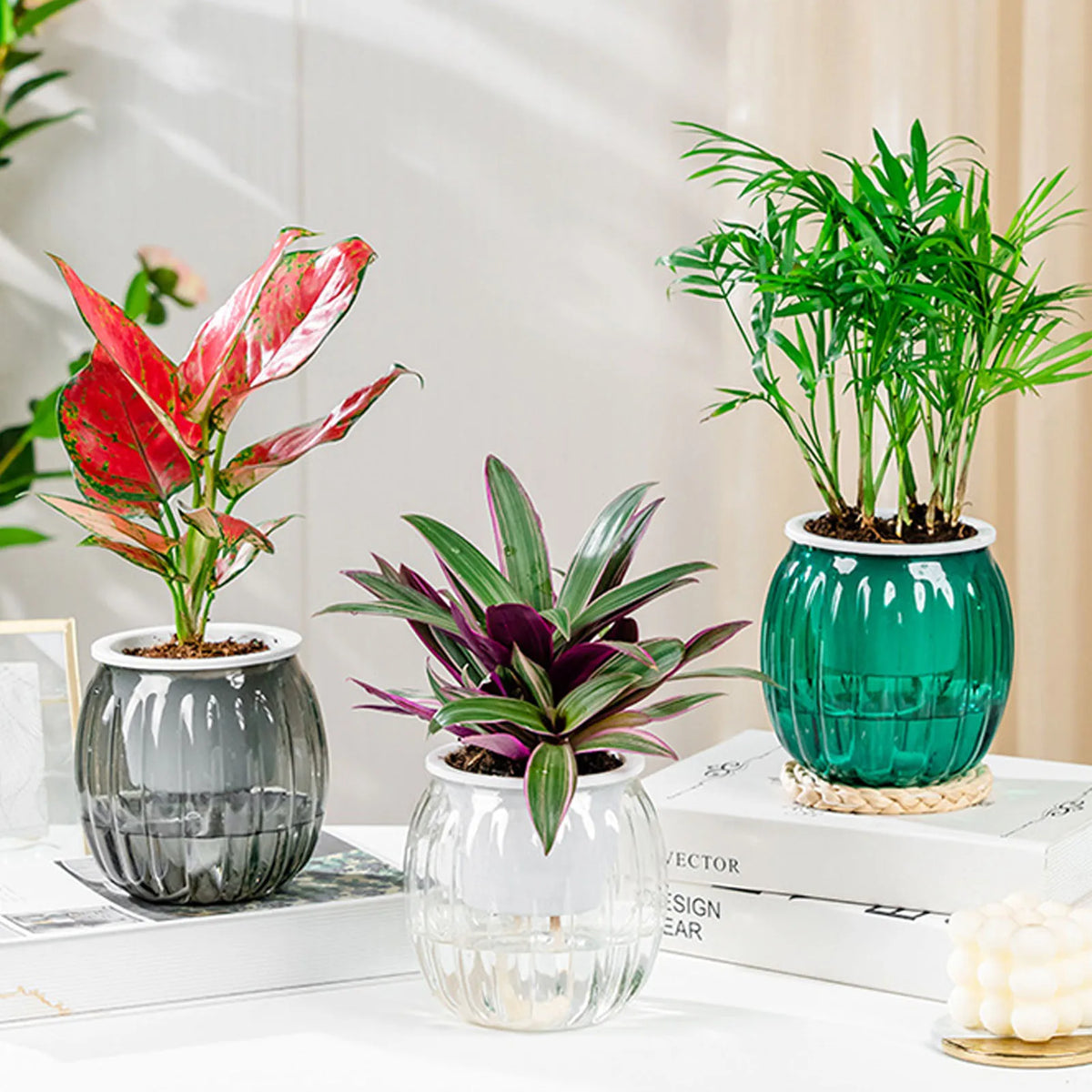Clear Self Watering Planters Pots Modern Transparent Plants Care Pots for Garden Enthusiast Lover Gift