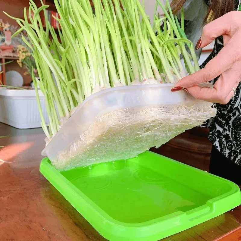 Garden Germination Tray Plant Seeds Pot Double Layer Arc Soilless Hydroponics Growing System Seedling Pots Gardening Accessories