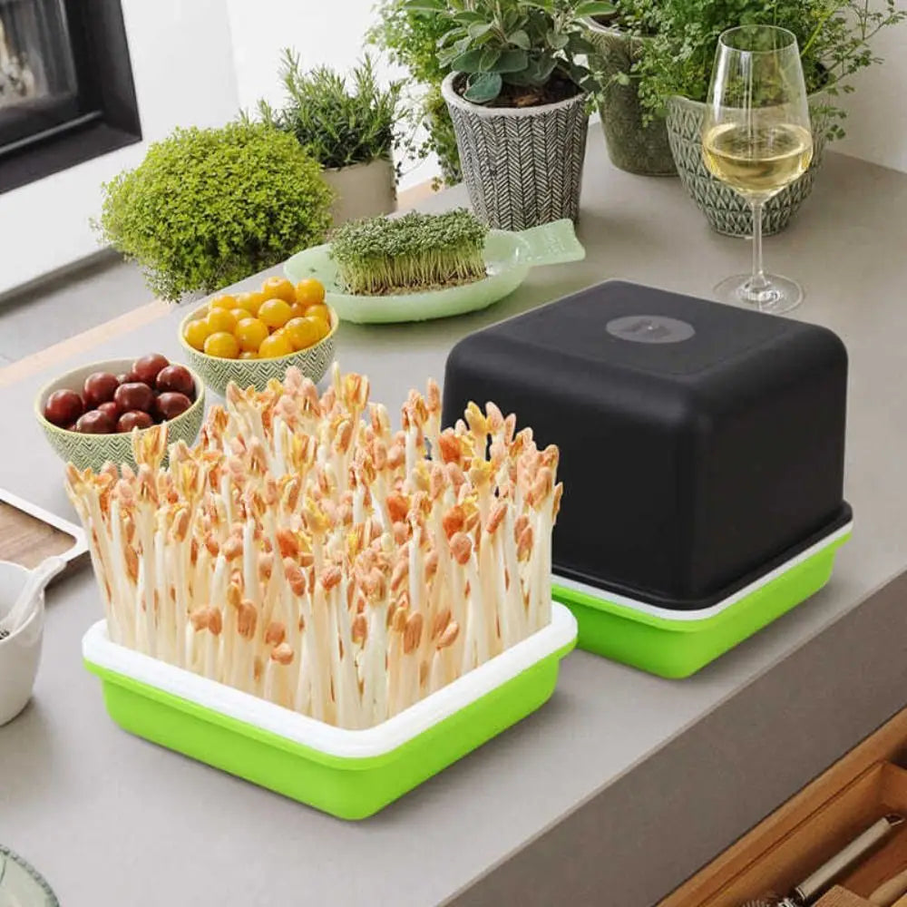 Plant Hydroponic Bean Sprout Soilless Water Cultivation Garden Supplies Sprout Planting Pot Seedling Tray Sprout Planting Box