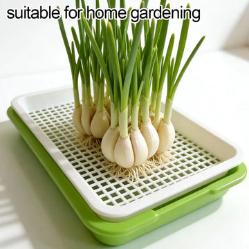 Home Seed Germination Tray Sprout Vegetable Seedling Tray Soilless Cultivation Hydroponic Equipment Plant Nursery Pots