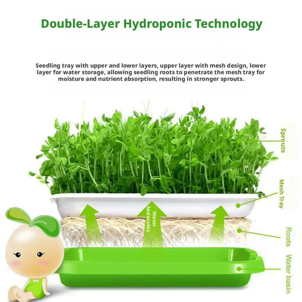 Soilless Planting Seedling Tray,Seed Sprouter Germination Tray for Growing, Bean Sprouts, Cat Grass, Wheat Grass, Mung Beans